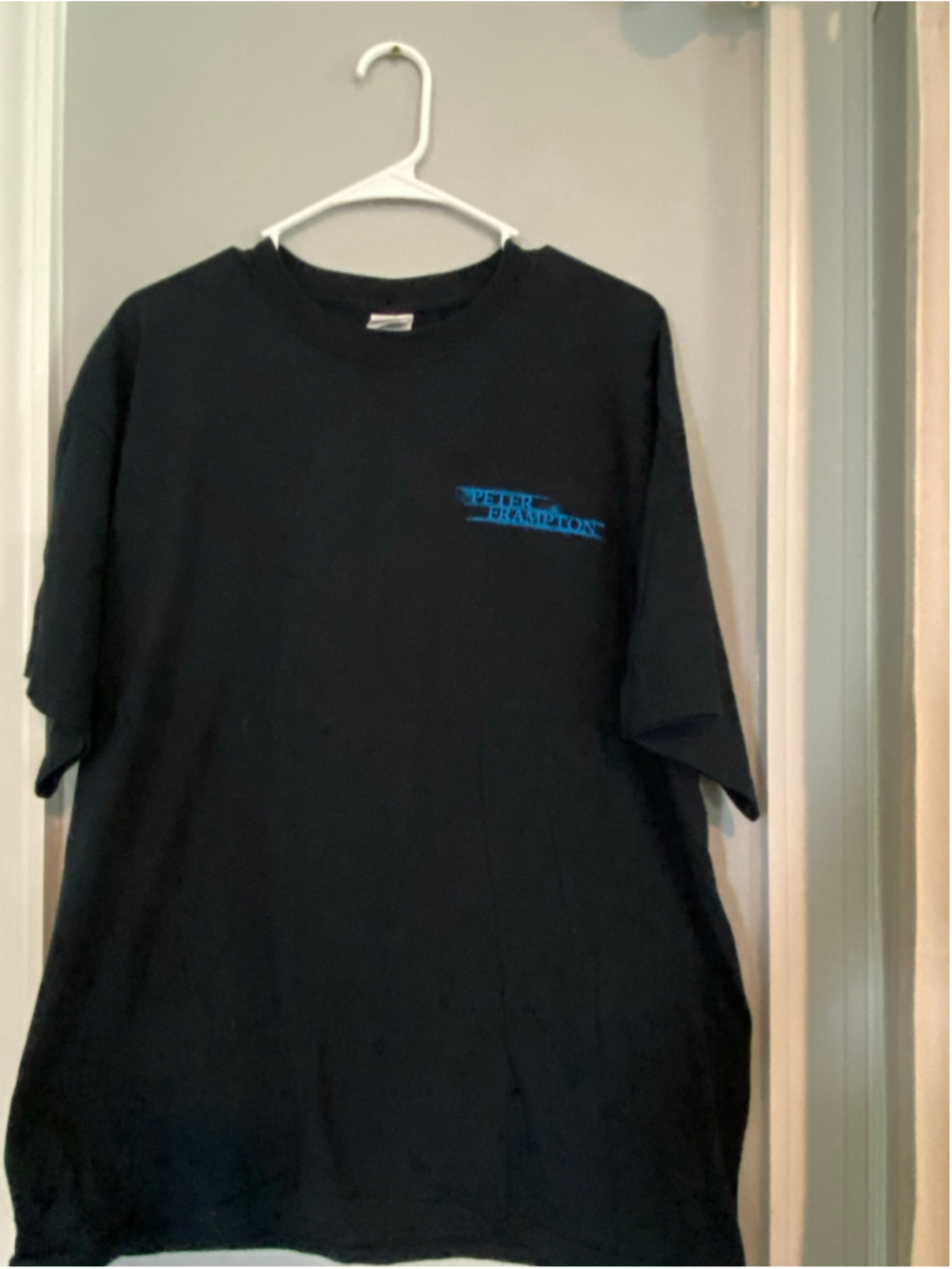 Vintage Peter Frampton concert T-shirt (2006 Fingerprints tour) Size XL